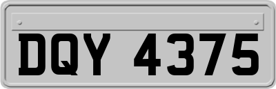 DQY4375