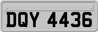 DQY4436