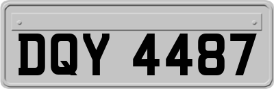 DQY4487