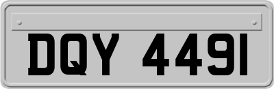 DQY4491