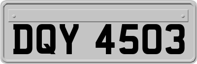 DQY4503