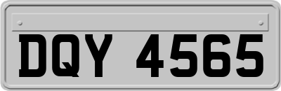 DQY4565