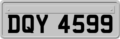 DQY4599