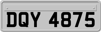 DQY4875