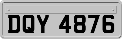 DQY4876