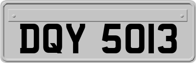 DQY5013