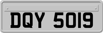 DQY5019
