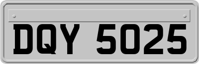 DQY5025