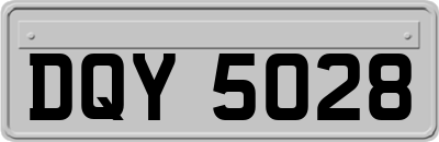 DQY5028