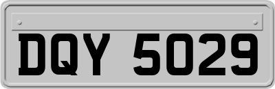 DQY5029