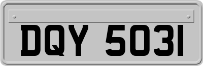 DQY5031