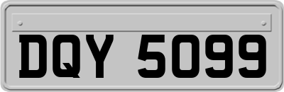 DQY5099