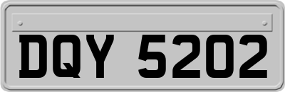 DQY5202
