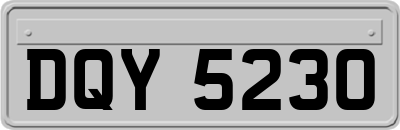 DQY5230