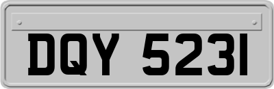 DQY5231