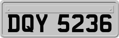 DQY5236
