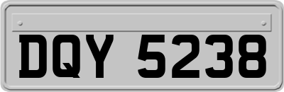 DQY5238