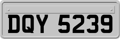 DQY5239