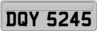 DQY5245