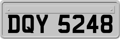 DQY5248