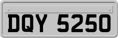 DQY5250