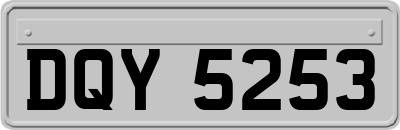 DQY5253