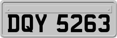 DQY5263