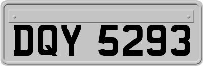 DQY5293