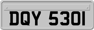 DQY5301