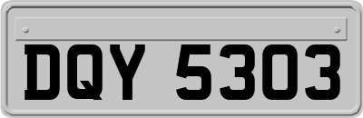 DQY5303