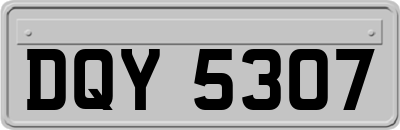 DQY5307
