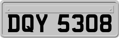 DQY5308
