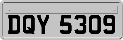 DQY5309