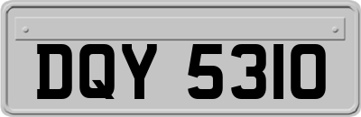 DQY5310