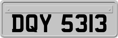 DQY5313