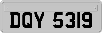 DQY5319
