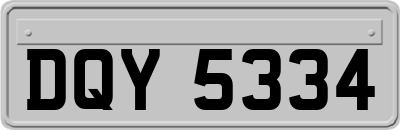 DQY5334
