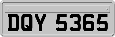 DQY5365