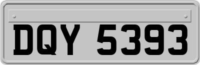 DQY5393