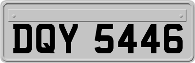 DQY5446