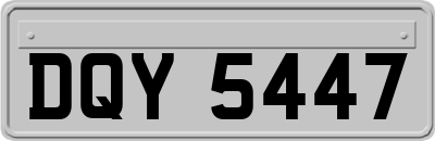 DQY5447