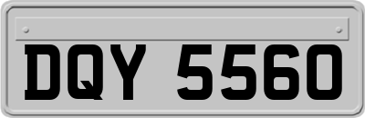 DQY5560