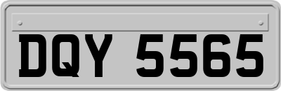 DQY5565