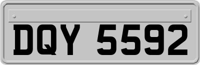 DQY5592