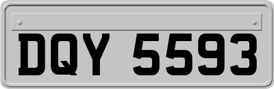 DQY5593