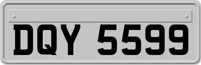 DQY5599