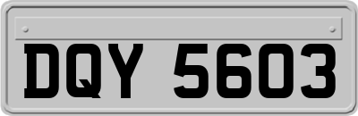 DQY5603