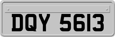 DQY5613