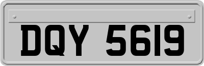 DQY5619