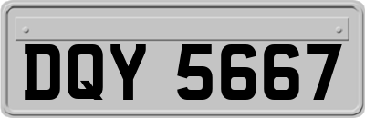 DQY5667
